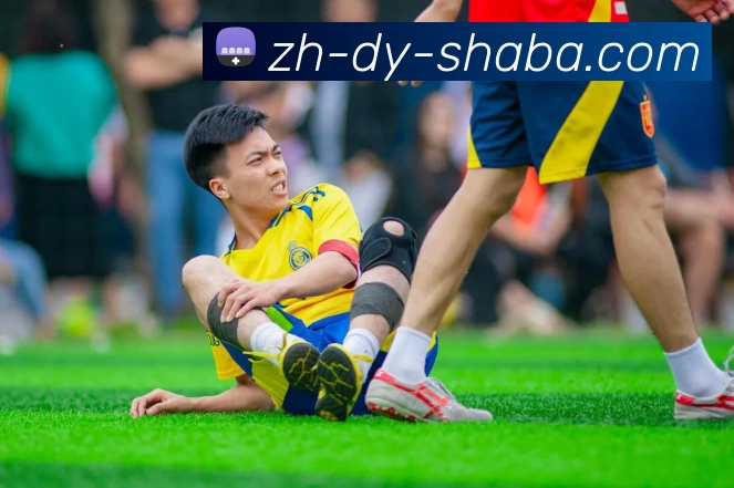奖项证书